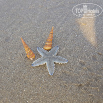 фото из отзыва ID 1490236