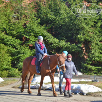 фото из отзыва ID 1490267