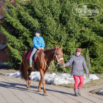 фото из отзыва ID 1490267