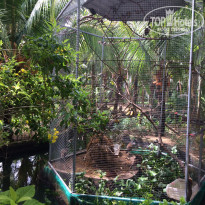 фото из отзыва ID 1490300