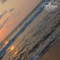 фото из отзыва ID 1490354