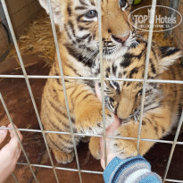 фото из отзыва ID 1490379