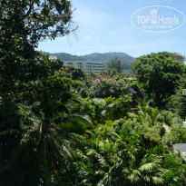 фото из отзыва ID 1490506