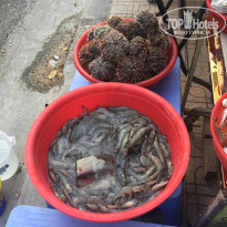 фото из отзыва ID 1490573