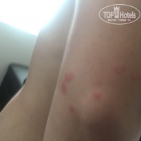 фото из отзыва ID 1490621