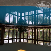 фото из отзыва ID 1490033