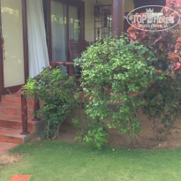 фото из отзыва ID 1490932