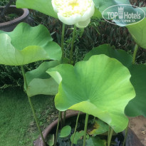 фото из отзыва ID 1490932