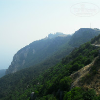 фото из отзыва ID 1490741