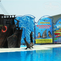 фото из отзыва ID 1490741