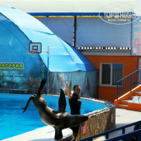 фото из отзыва ID 1490741