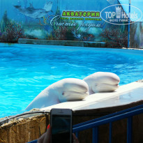 фото из отзыва ID 1490741