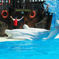 фото из отзыва ID 1490741