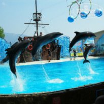 фото из отзыва ID 1490741