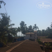 фото из отзыва ID 1491035