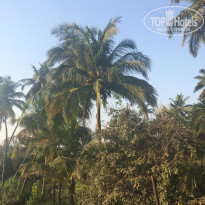 фото из отзыва ID 1491035