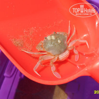 фото из отзыва ID 1491057