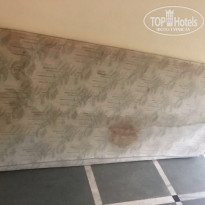 фото из отзыва ID 1491137