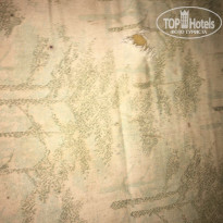 фото из отзыва ID 1491137