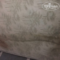 фото из отзыва ID 1491137