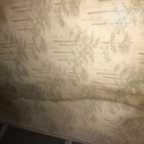 фото из отзыва ID 1491137