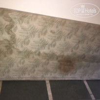 фото из отзыва ID 1491137