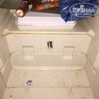 фото из отзыва ID 1491137