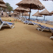 фото из отзыва ID 1491144