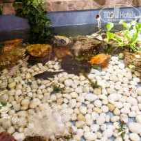 фото из отзыва ID 1491197