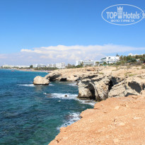 фото из отзыва ID 1491270