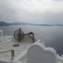 фото из отзыва ID 1491324