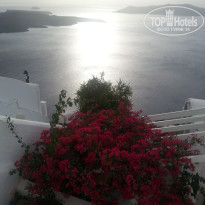 фото из отзыва ID 1491324