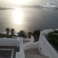 фото из отзыва ID 1491324