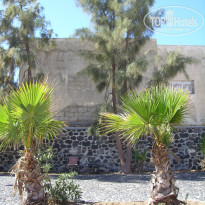 фото из отзыва ID 1491324