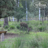 фото из отзыва ID 1491444