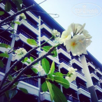 фото из отзыва ID 1491480