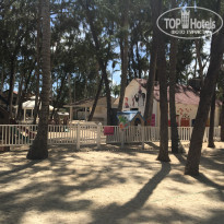 фото из отзыва ID 1491574