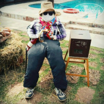 фото из отзыва ID 1491603