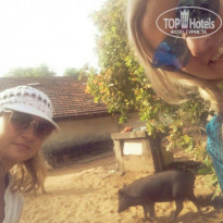 фото из отзыва ID 1491603