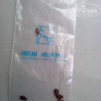 фото из отзыва ID 1491649