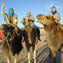 фото из отзыва ID 1491743