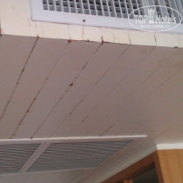 фото из отзыва ID 1491801