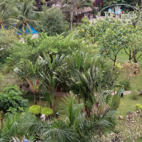 фото из отзыва ID 1491835