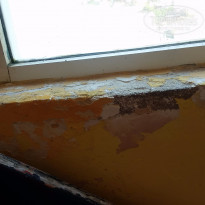 фото из отзыва ID 1492026