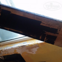 фото из отзыва ID 1492026