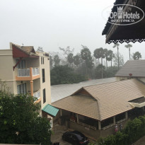 фото из отзыва ID 1492164