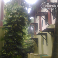 фото из отзыва ID 1492239