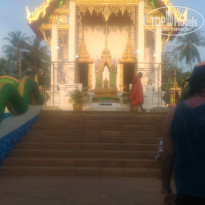 фото из отзыва ID 1492239