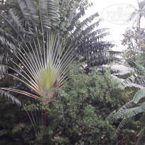 фото из отзыва ID 1492313