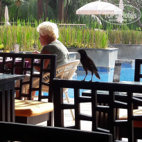 фото из отзыва ID 1492313